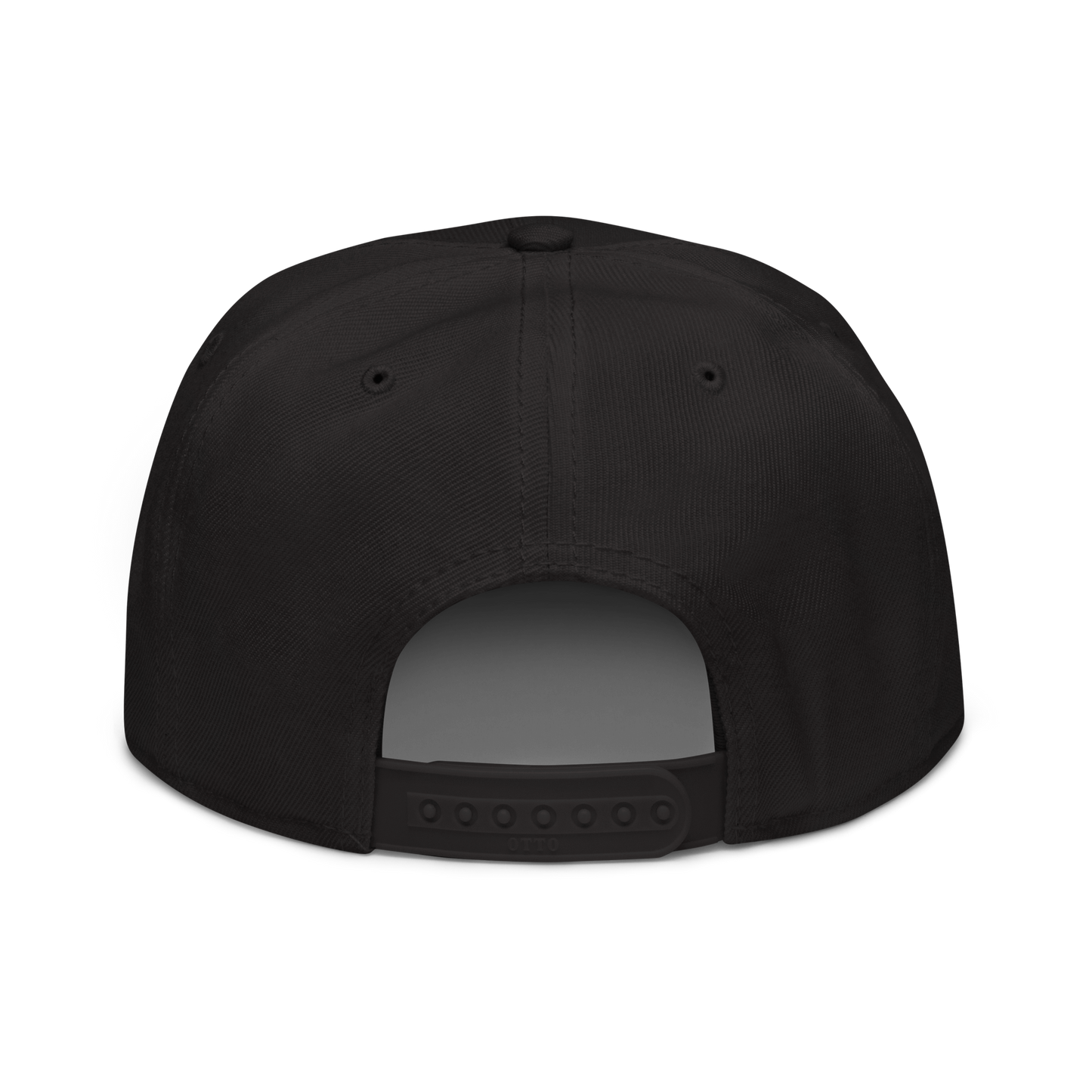 TNF Inc. Snapback Hat