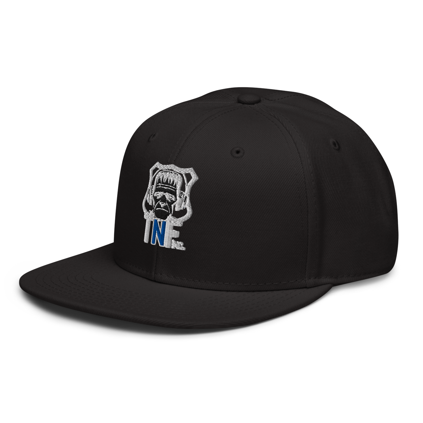 TNF Inc. Snapback Hat